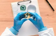 Overhead view of laboratory technician analyzing growing bacterial cultures in petri dish, science and microbiology background