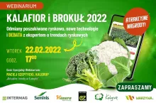 Kalafior i brokuły 2022