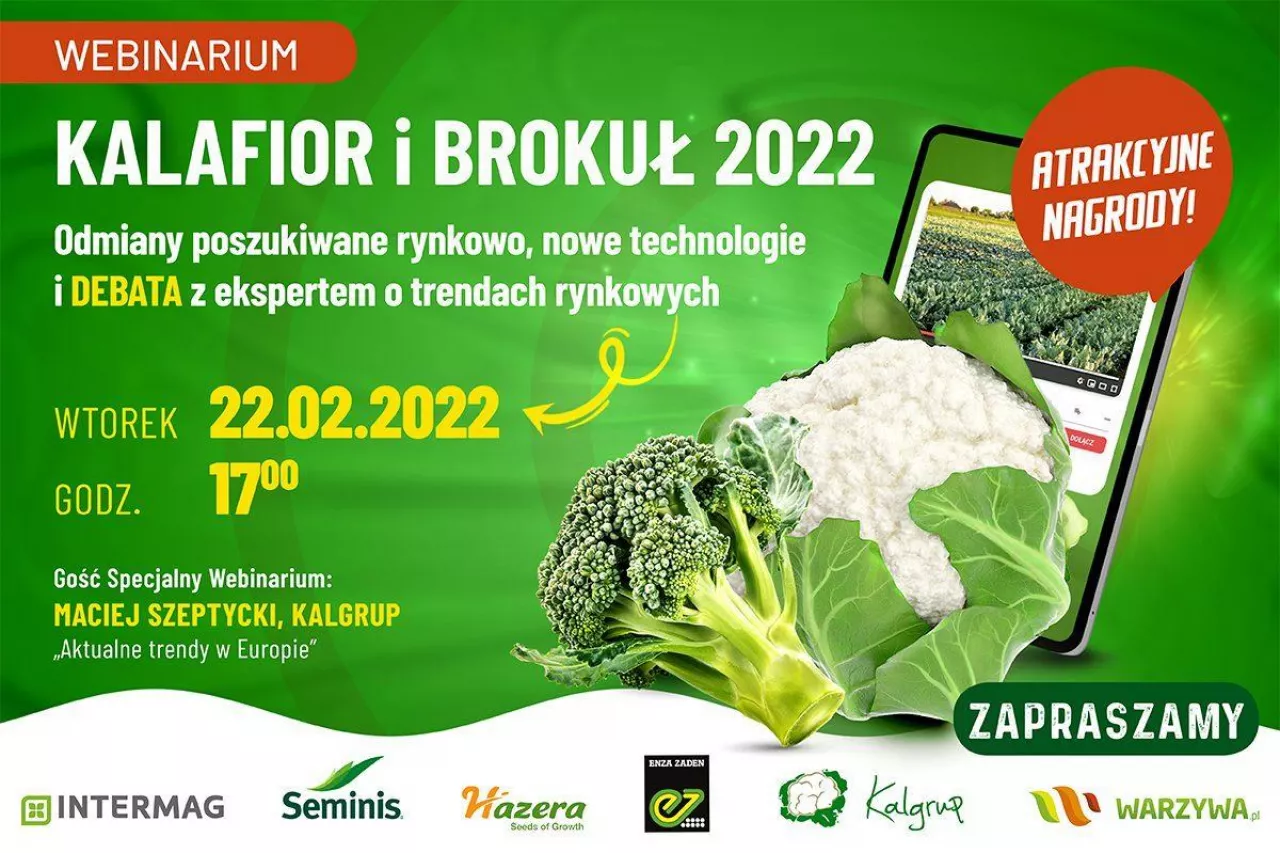 Kalafior i brokuły 2022