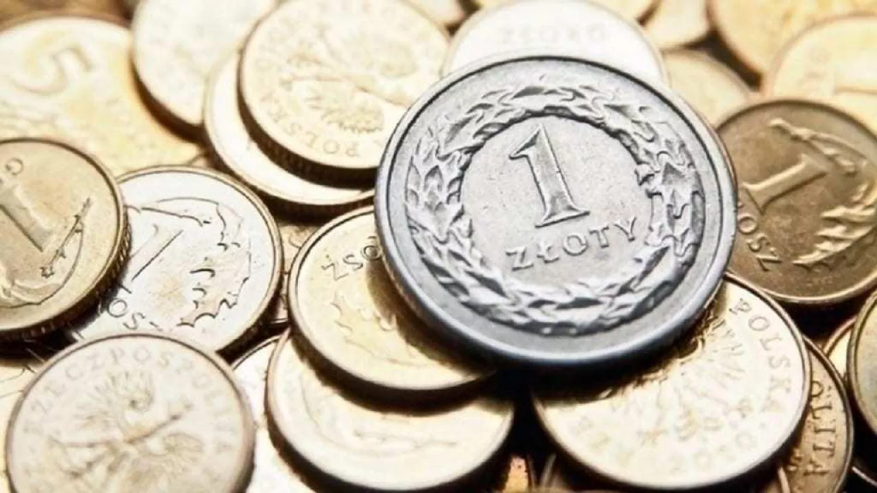 polski złoty