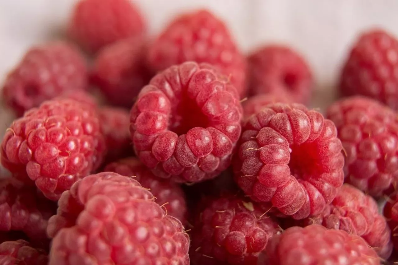 Vitamins. Summer berries. Raspberries background. Close up, top view, high resolution product Harvest Concept