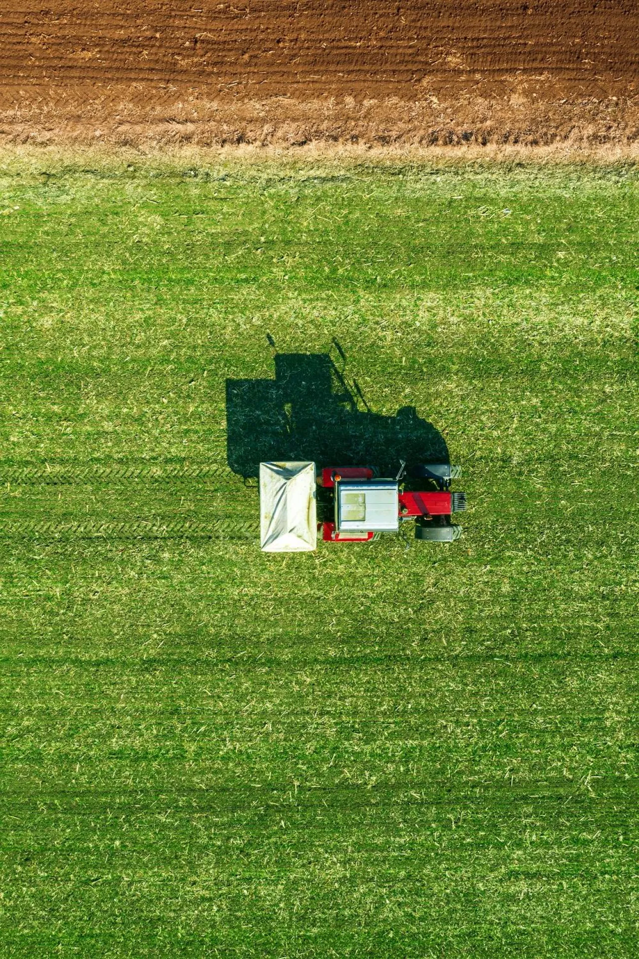 Agricultural tractor is fertilizing wheat crop field with NPK fertilizers, aerial view from drone pov