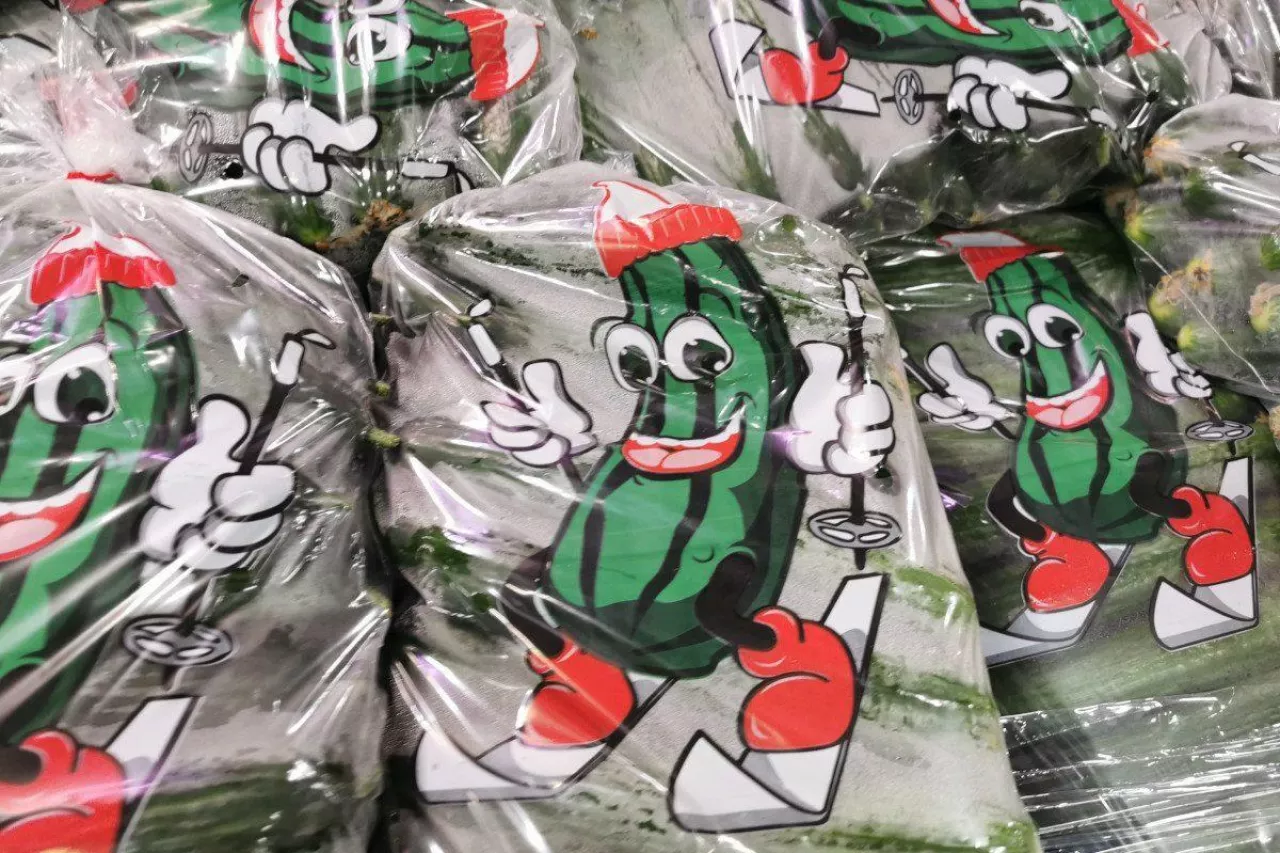 Polski ogórek na rynku hurtowym w Broniszach