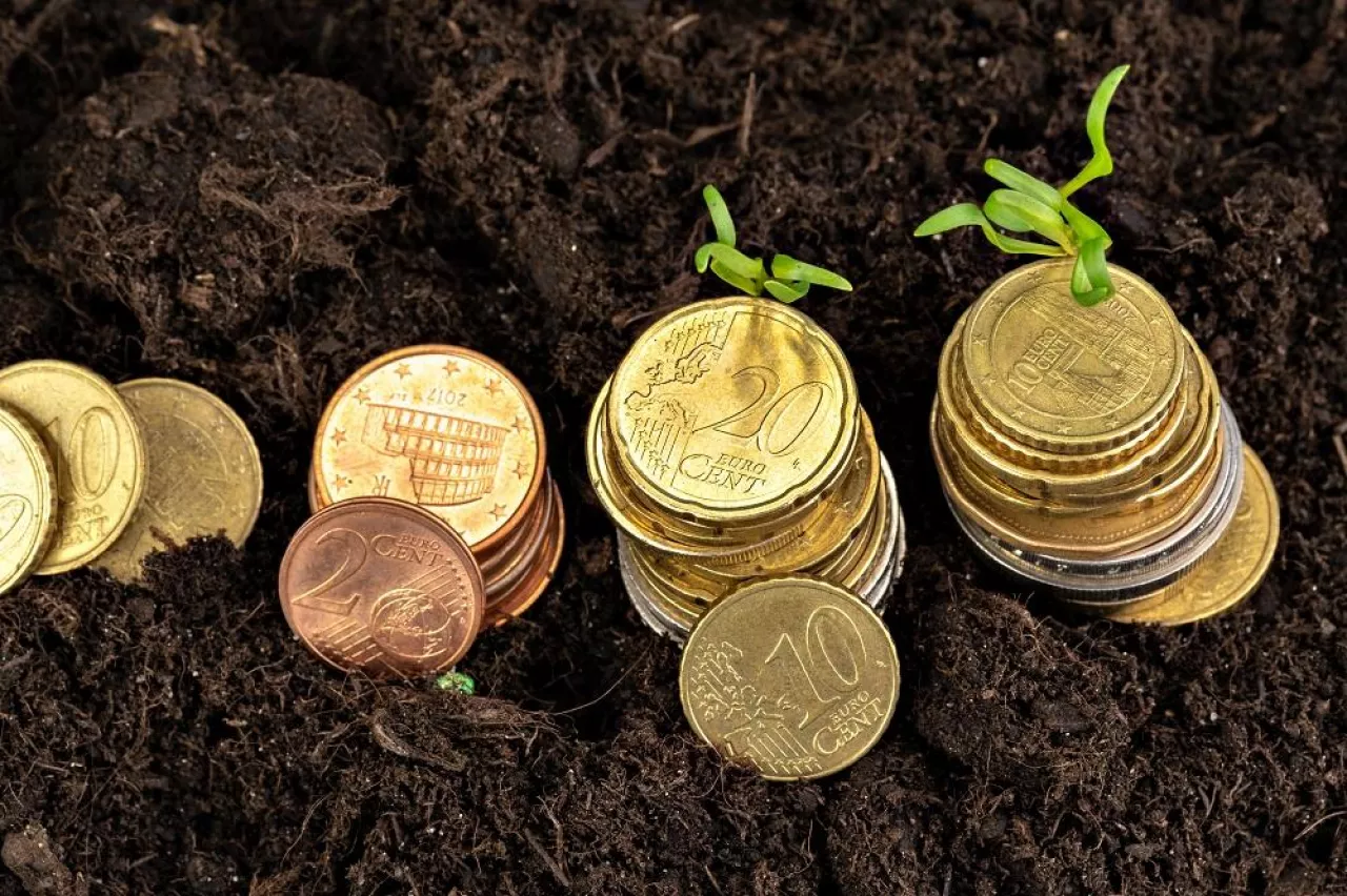 Euro coins and plant sprouts close up, financial growth concept