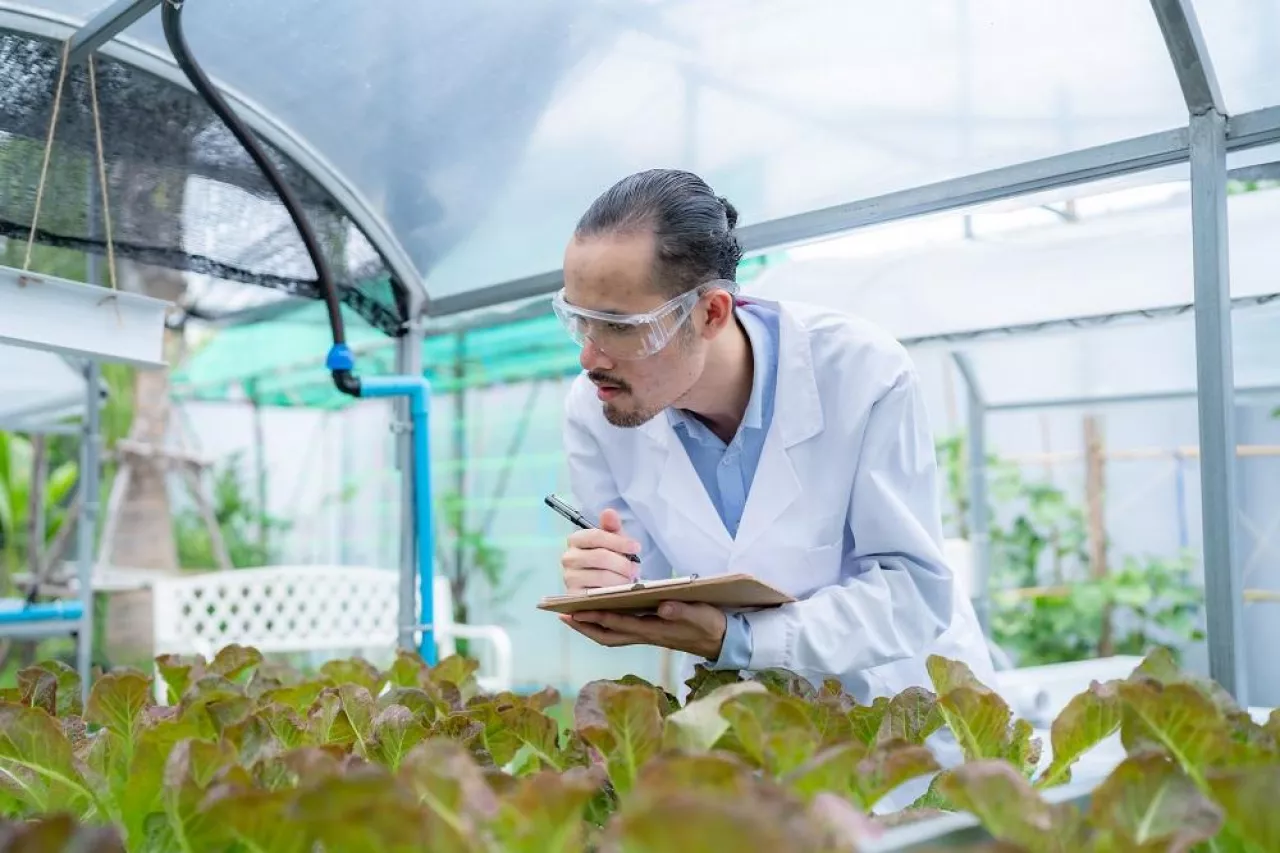 scientist working to research in agriculture green plant at biology science laboratory greenhouse, organic experiment test for medical food biotechnology, botany ecology biologist in farming growth