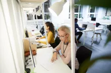 Serious concentrated mature lady in sweater and eyeglasses sitting at table and reading document while working in open space office