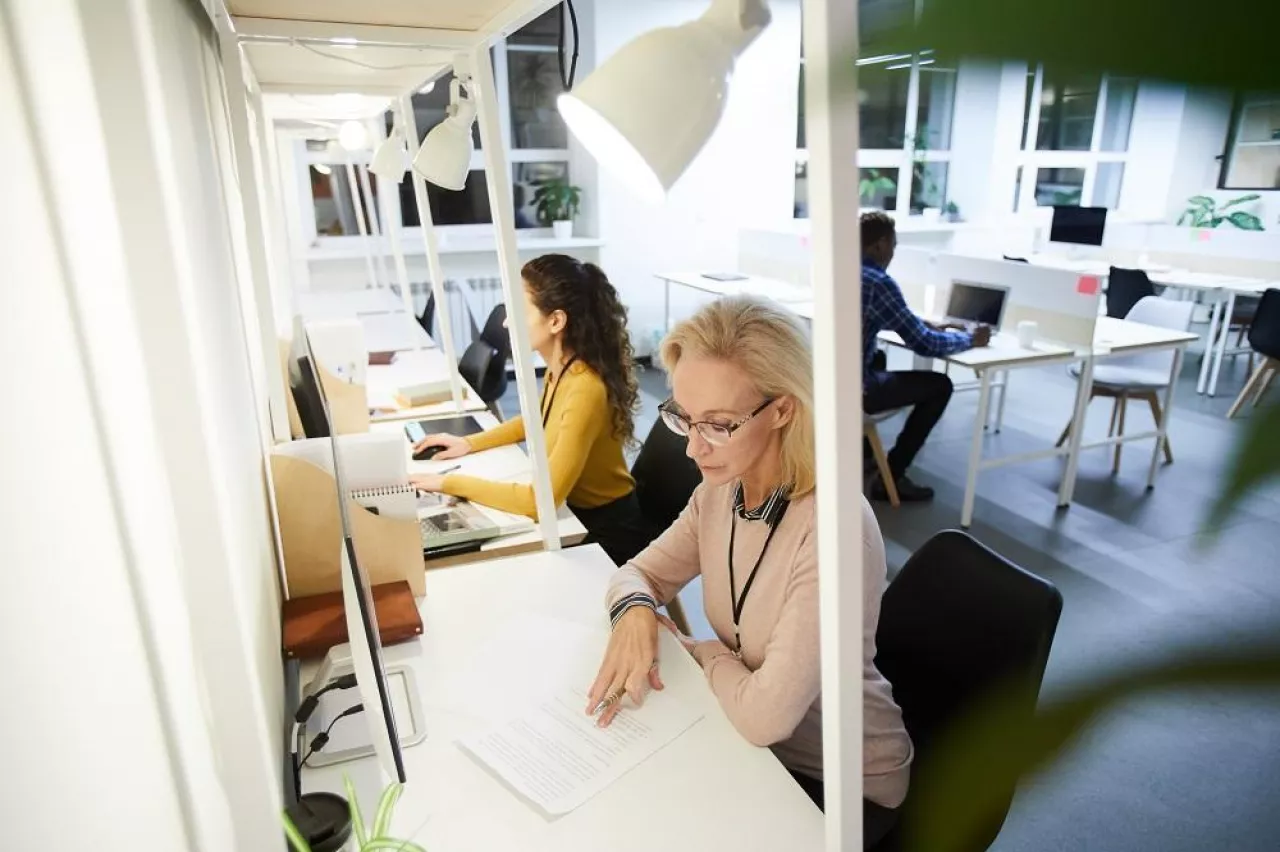 Serious concentrated mature lady in sweater and eyeglasses sitting at table and reading document while working in open space office