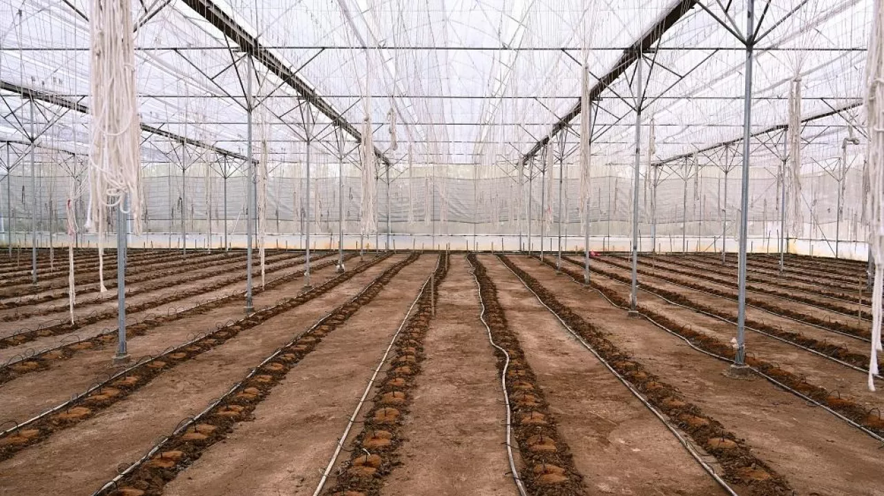 Image of inside of empty greenhouse on a sunny day for preparing the soil for sowing.