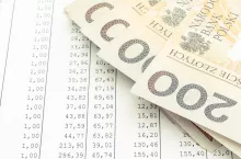 Polish currency money on spreadsheet. Business and finance concept