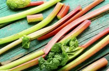 Fresh rhubarb stem on retro wooden table.Bundle of stalks and pieces rhubarb