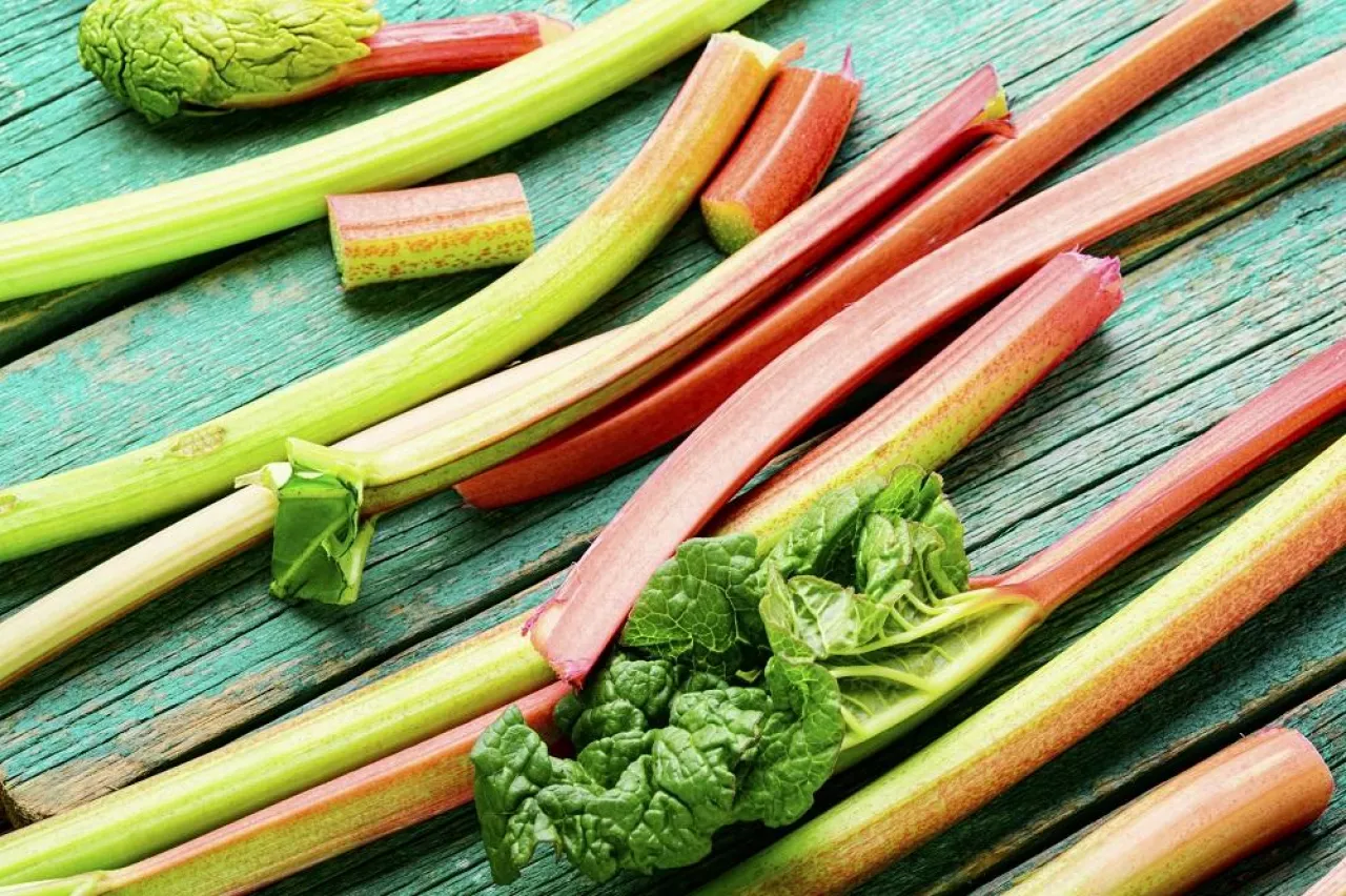 Fresh rhubarb stem on retro wooden table.Bundle of stalks and pieces rhubarb