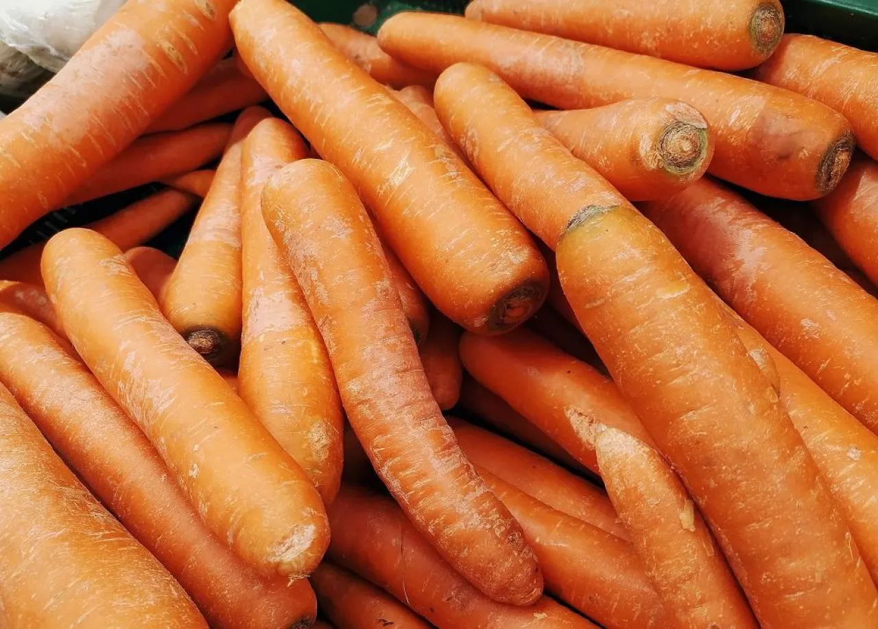 Processed with VSCO with ka1 preset