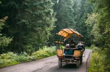 Tatra National Park, Poland. Man In National Traditional Polish Folk Ethnic Costumes Ride A Cart Harnessed By A Pair Of Horses Along A Mountain Road.