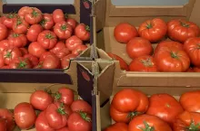 Pomidory w sklepie