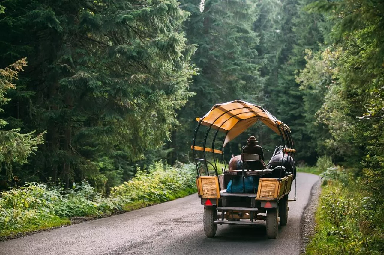 Tatra National Park, Poland. Man In National Traditional Polish Folk Ethnic Costumes Ride A Cart Harnessed By A Pair Of Horses Along A Mountain Road.