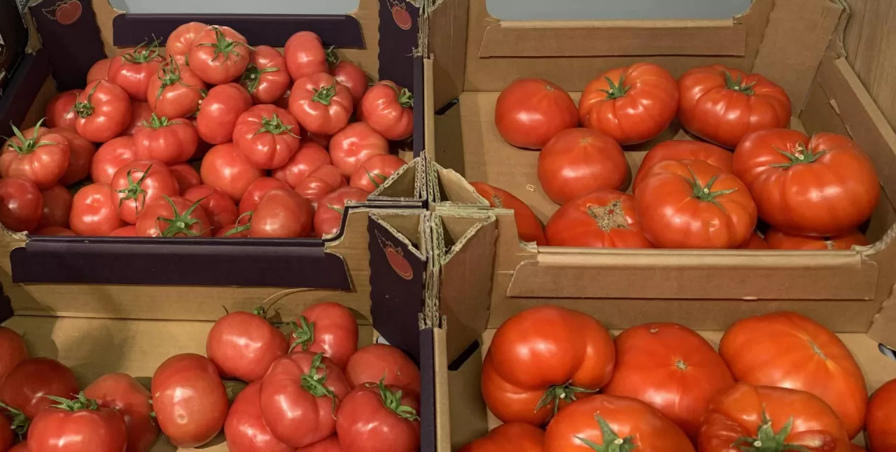 Pomidory w sklepie