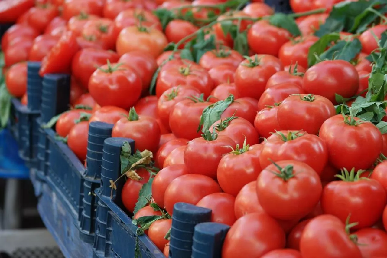 Fresh market tomatoes. Boxes with red ripe tomatoes at local market stall. Healthy farm product.