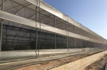 Uprawa papryki w hiszpańskich obiekatch