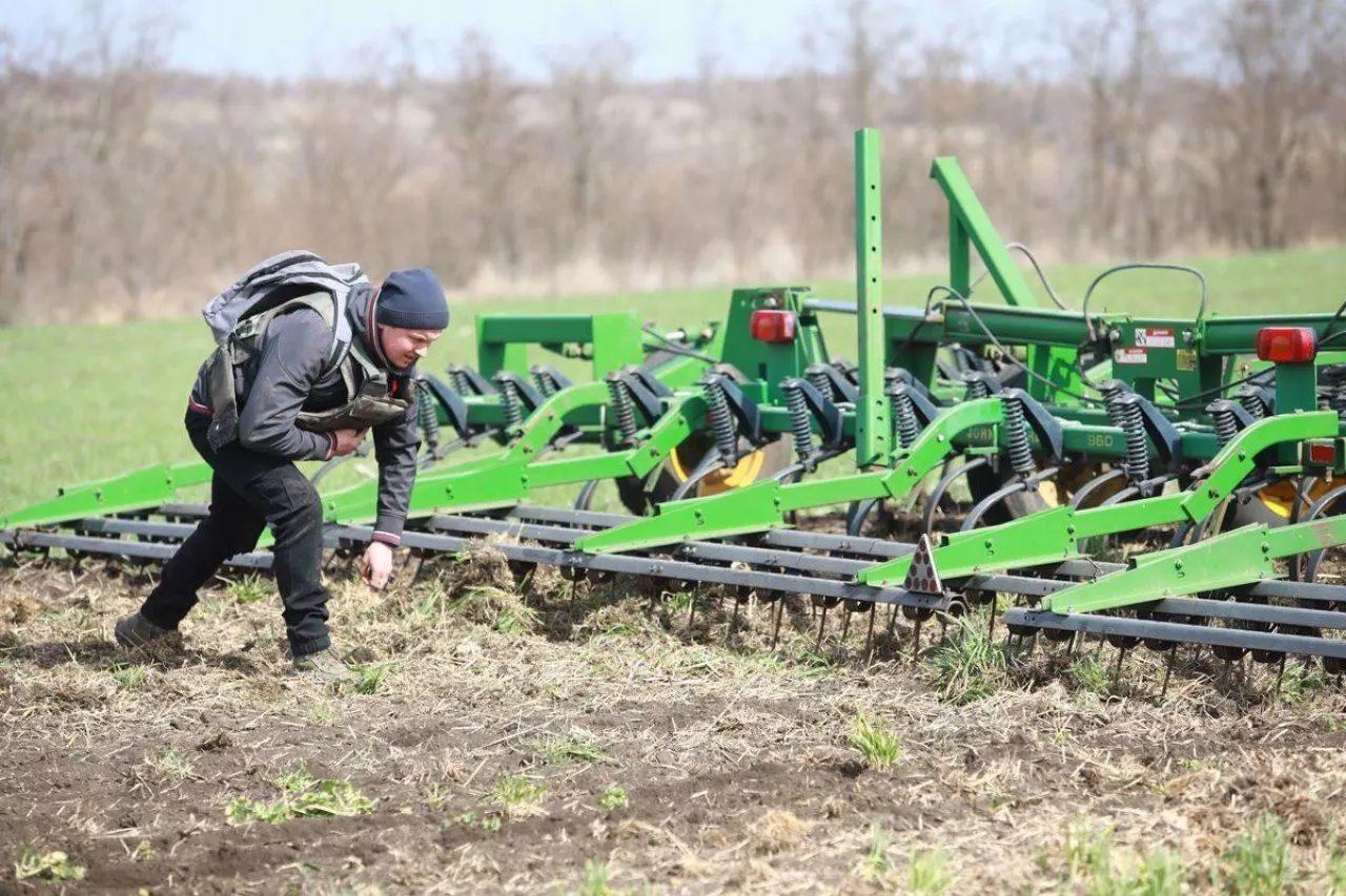 Ukraińscy rolnicy rozpoczęli prace w polach