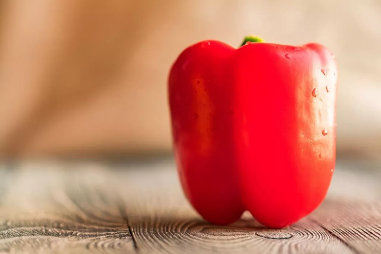 Large red bell paprika pepper on a wooden rustic background. Close-up and selective focus