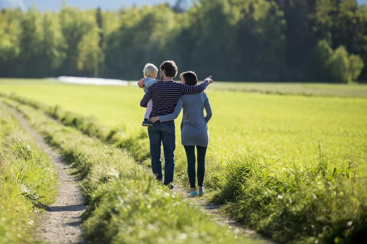 View from behind of a young family on a country road surrounded by green meadow.