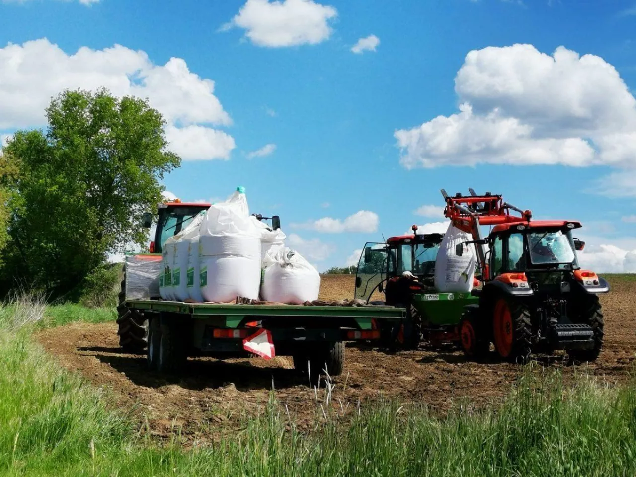 Nawozy w gospodarstwie warzywniczym