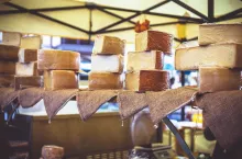 Farmers cheeses in the city market in Basel. Low shallow focus. Toned
