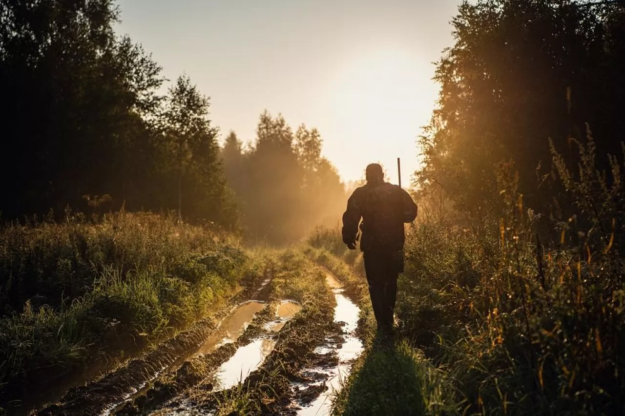 Vintage hunter walks the forest road. Rifle Hunter Silhouetted in Beautiful Sunset or Sunrise. Hunter aiming rifle in forest.