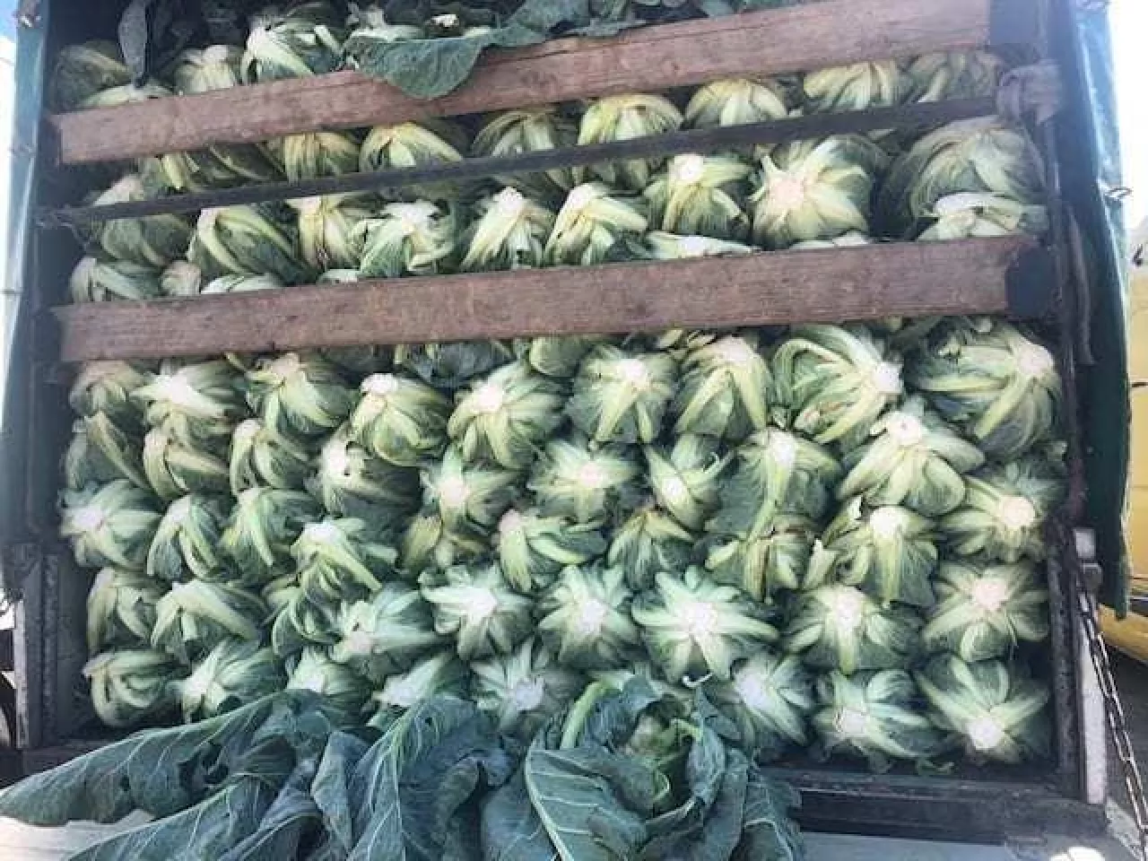 Ceny warzyw giełda hurtowa