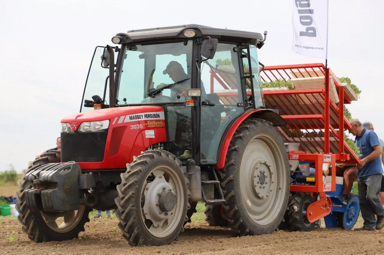 Sadzenie kapusty niezawodną sadzarką Ferrari