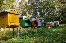 Series of small hives for the production of honey in the summer season