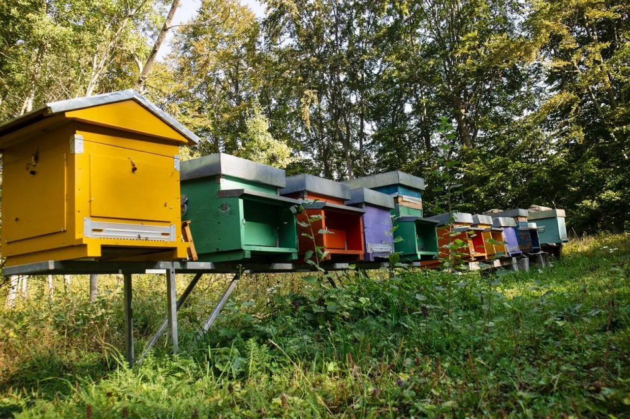Series of small hives for the production of honey in the summer season