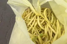 Fasolka-szparagowa-sprzedaż-Rybitwy