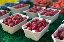 Packets of berries on the market