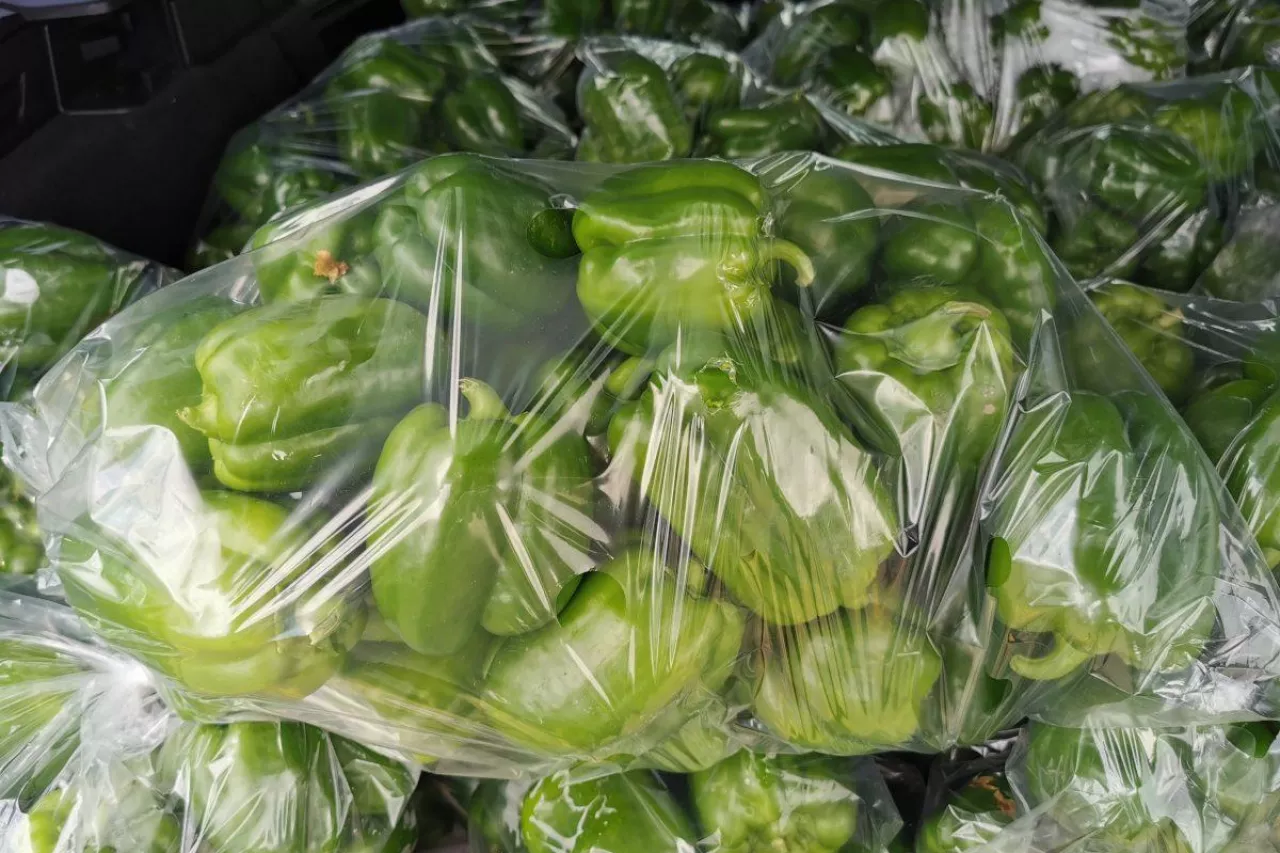 Zielona papryka na rynku hurtowym w Broniszach