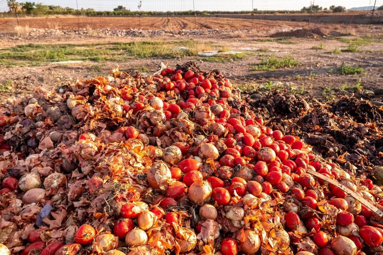 Vegetables thrown into a landfill, rotting outdoors.