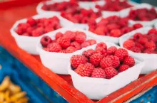 Fresh Red Berries Raspberries At Market In Trays, Containers.