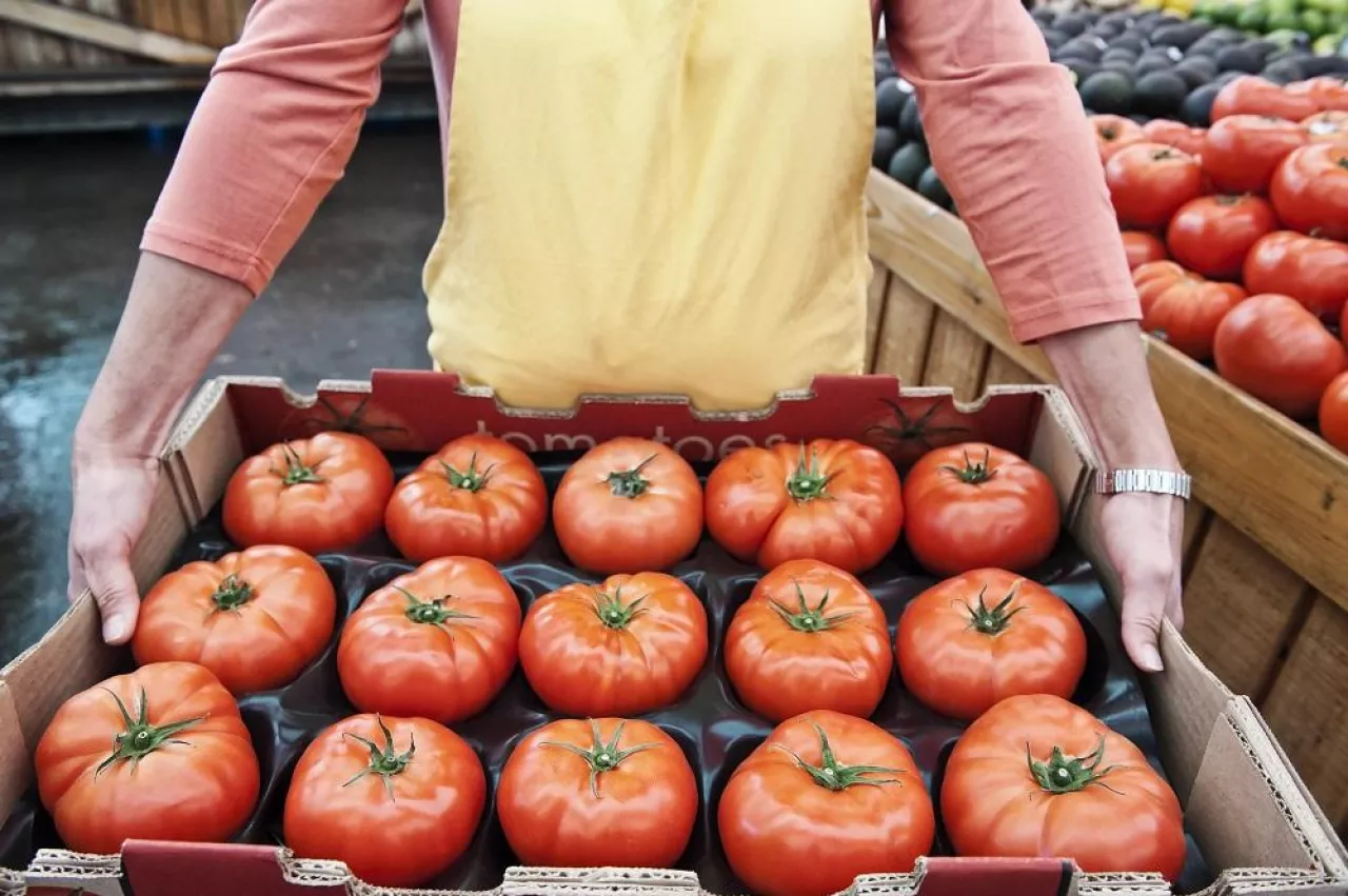 High angle close up of person holding large tray of fresh tomatoes at a fruit and vegetable market.