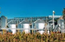 Modern Granary, Grain-drying Complex, Commercial Grain Or Seed Silos In Sunny Summer Rural Landscape. Corn Dryer Silos, Inland Grain Terminal, Grain Elevators Standing In A Field. Panorama Panoramic View.