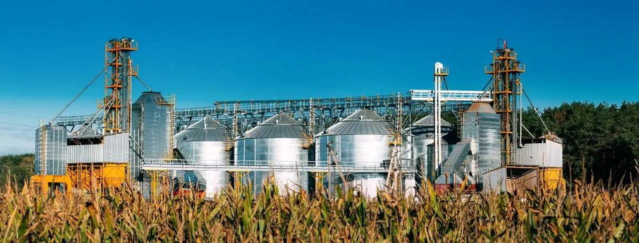 Modern Granary, Grain-drying Complex, Commercial Grain Or Seed Silos In Sunny Summer Rural Landscape. Corn Dryer Silos, Inland Grain Terminal, Grain Elevators Standing In A Field. Panorama Panoramic View.