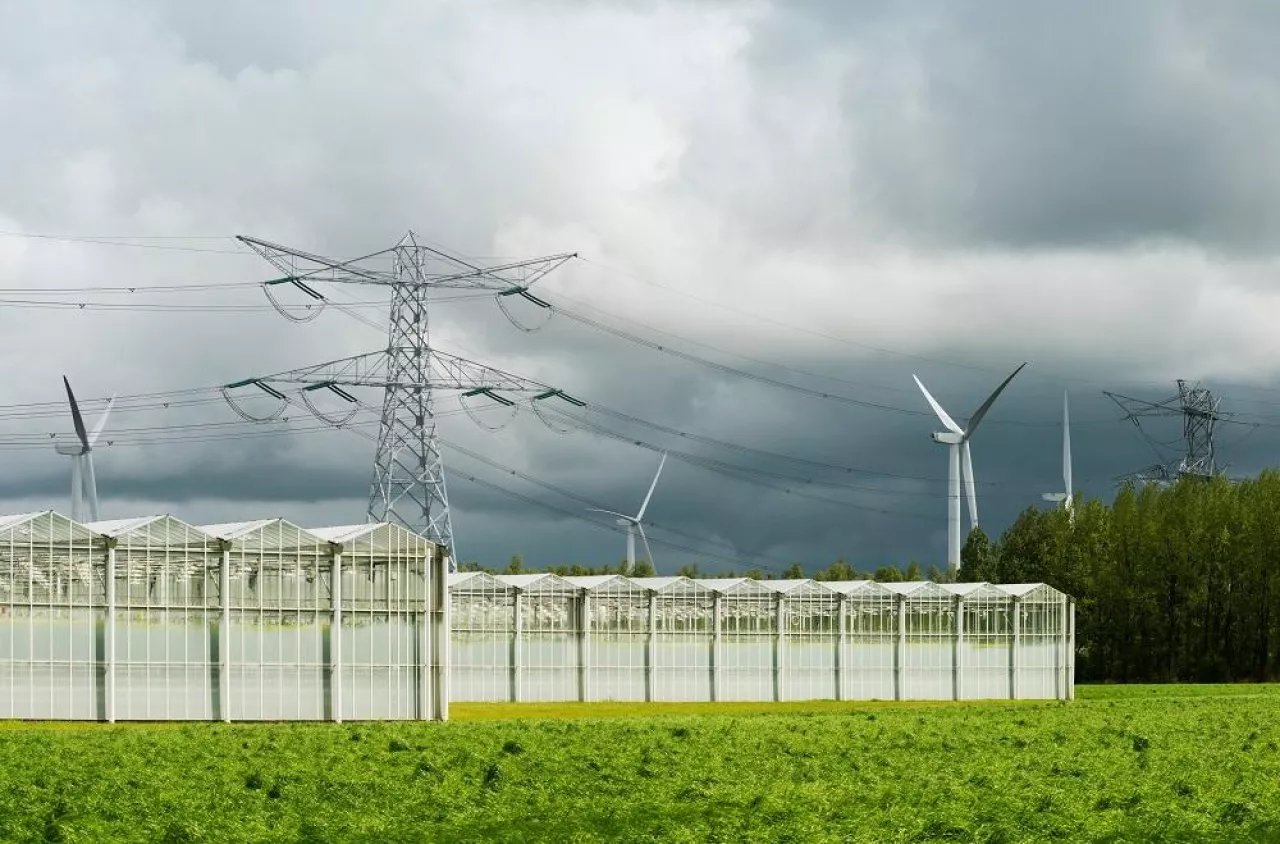 Greenhouses, pylons and wind turbines under cloudy sky