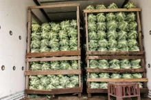 Ceny młodych warzyw rynek hurtowy Bronisze