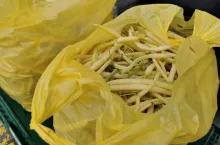 Ceny warzyw rynek hurtowy Bronisze