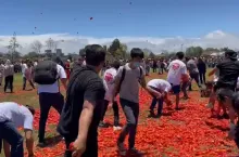 Bitwa na pomidory w Meksyku