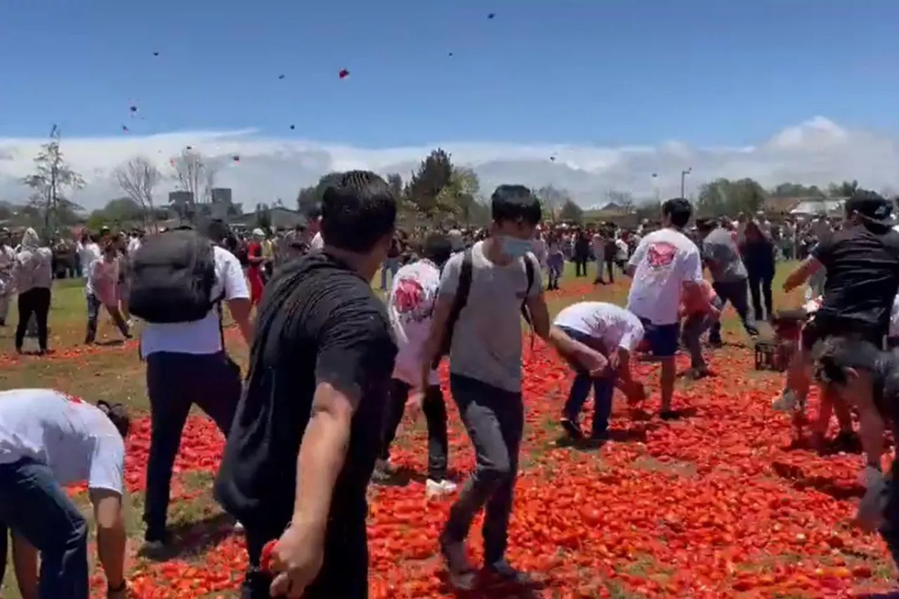 Bitwa na pomidory w Meksyku