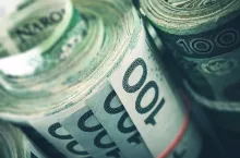 Rolled Polish Zloty Banknotes Closeup Photo. Polish Financial Concept.