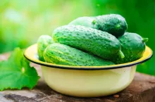 Bowl with fresh small crispy cucumbers over background of a garden. Home growing concept. Copy space.