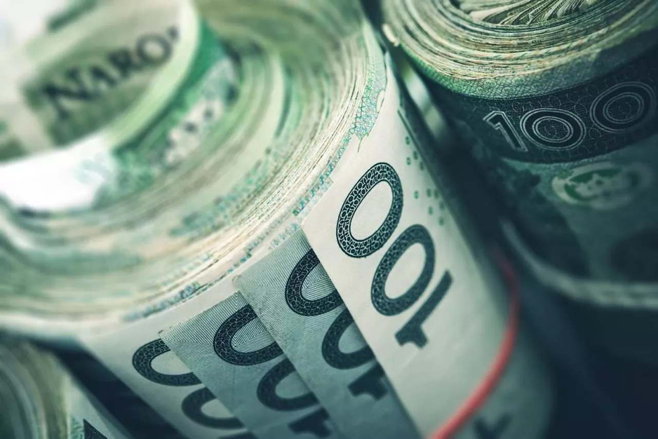 Rolled Polish Zloty Banknotes Closeup Photo. Polish Financial Concept.