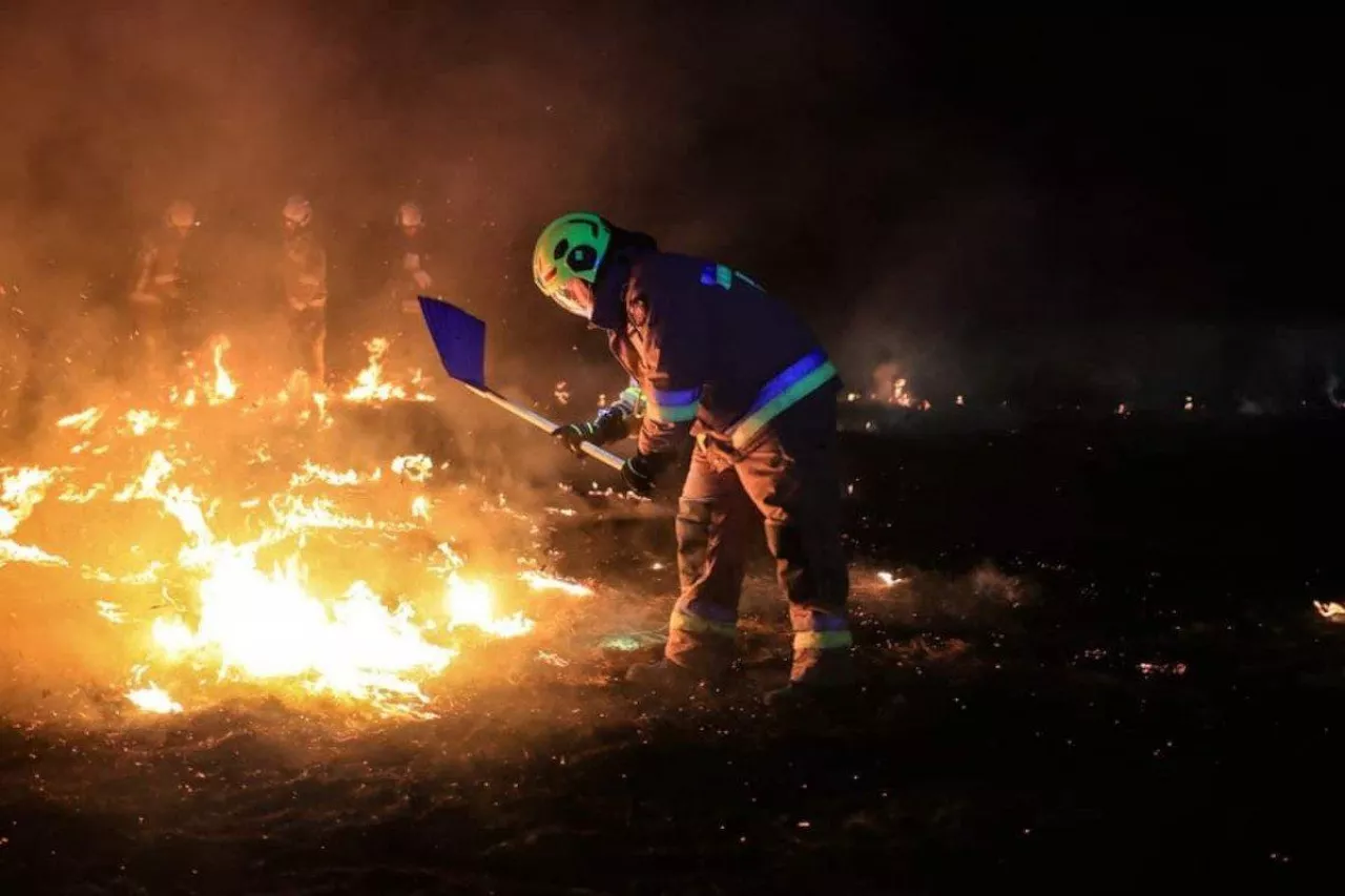 Wypalanie traw i nieużytków rolnych