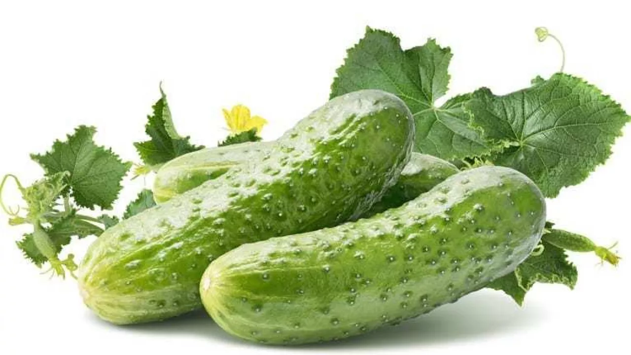 Cucumber group with leaves isolated on white background as package design element